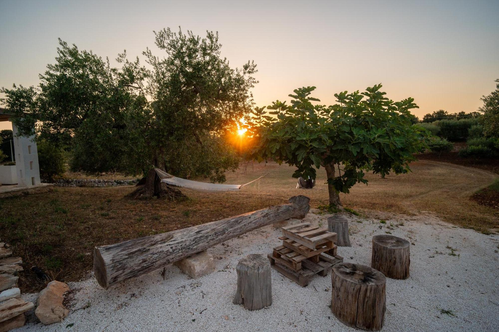Il Trullo Della Rondinina Βίλα Αλμπερομπέλο Εξωτερικό φωτογραφία
