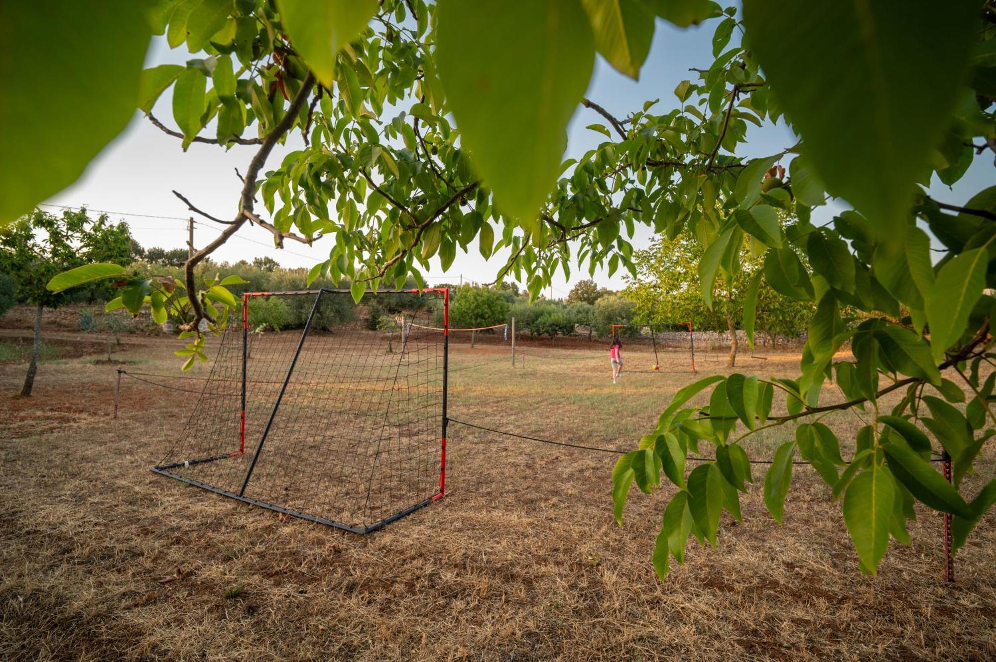 Il Trullo Della Rondinina Βίλα Αλμπερομπέλο Εξωτερικό φωτογραφία
