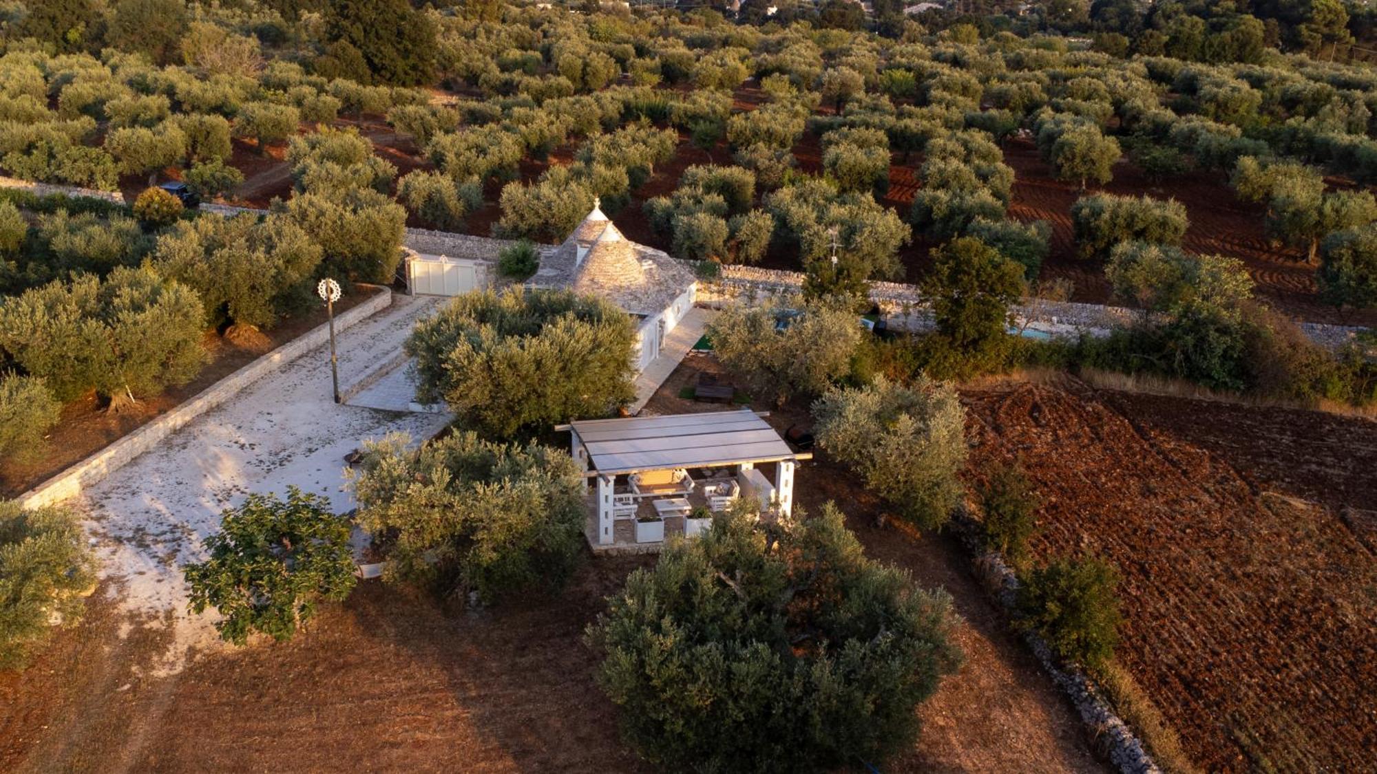 Il Trullo Della Rondinina Βίλα Αλμπερομπέλο Εξωτερικό φωτογραφία